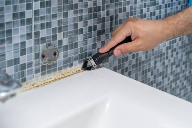 Best White Mold Remediation in Bushland, TX